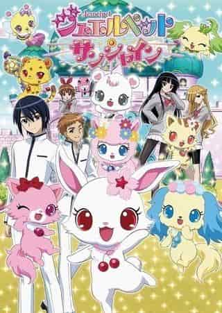The appeal and reviews of Jewelpet Sunshine: A sparkling world of adventure