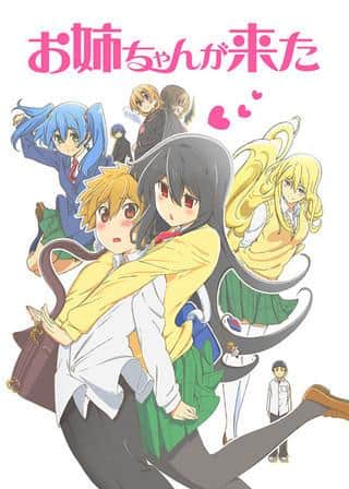 My Big Sister Has Come: The Appeal and Evaluation of the Original Anime Not Broadcast on TV
