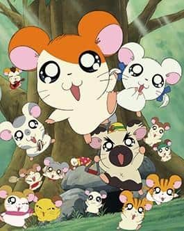 The appeal and evaluation of the Hamtaro special anime