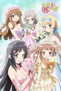 Among them, there is a younger sister! Who is the "younger sister"? A thorough evaluation!