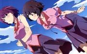 A thorough review of the character commentary edition of the Monogatari series! What are the new charms of these charming characters?