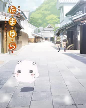 The appeal and evaluation of the OVA "Tamayura ~Moaggressive~"