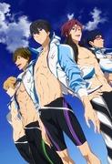 A thorough evaluation of the appeal and depth of "Free! -Eternal Summer-"!
