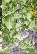 Review of "Tanuki no Harada": A fascinating story and deep characters