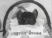 "Kitten's Sickness" review: A moving story and beautiful music