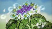 "Summer Love Flowers": Reevaluating the moving song of "Minna no Uta"