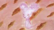 Mice Love Rice: A Thorough Analysis of the Appeal of Minna no Uta