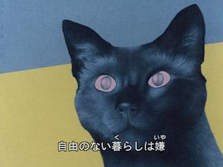 Cat's Eye Love: The appeal and reviews of the Minna no Uta version