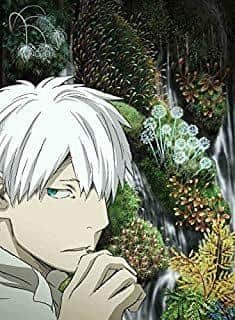 Mushishi: The Second Half of Season: The appeal of an expanded story and beautiful visuals
