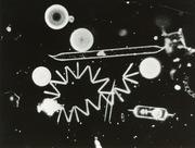 The appeal and reviews of "Marine Snow": A thorough analysis of the beauty of the deep sea and the moving story