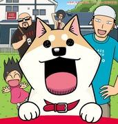 My Dear Mooko: What is the appeal of this heartwarming and soothing anime that depicts the daily life of a cat?