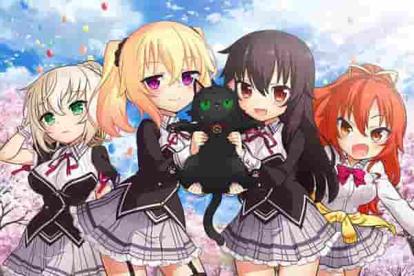Nora, Princess and Stray Cat Heart: A review of the charming characters and moving story