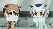 The appeal and impressions of the Kemono Friends x Anisama 2017 collaboration