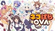 The appeal and reviews of Nekopara OVA: A must-see anime experience for cat lovers