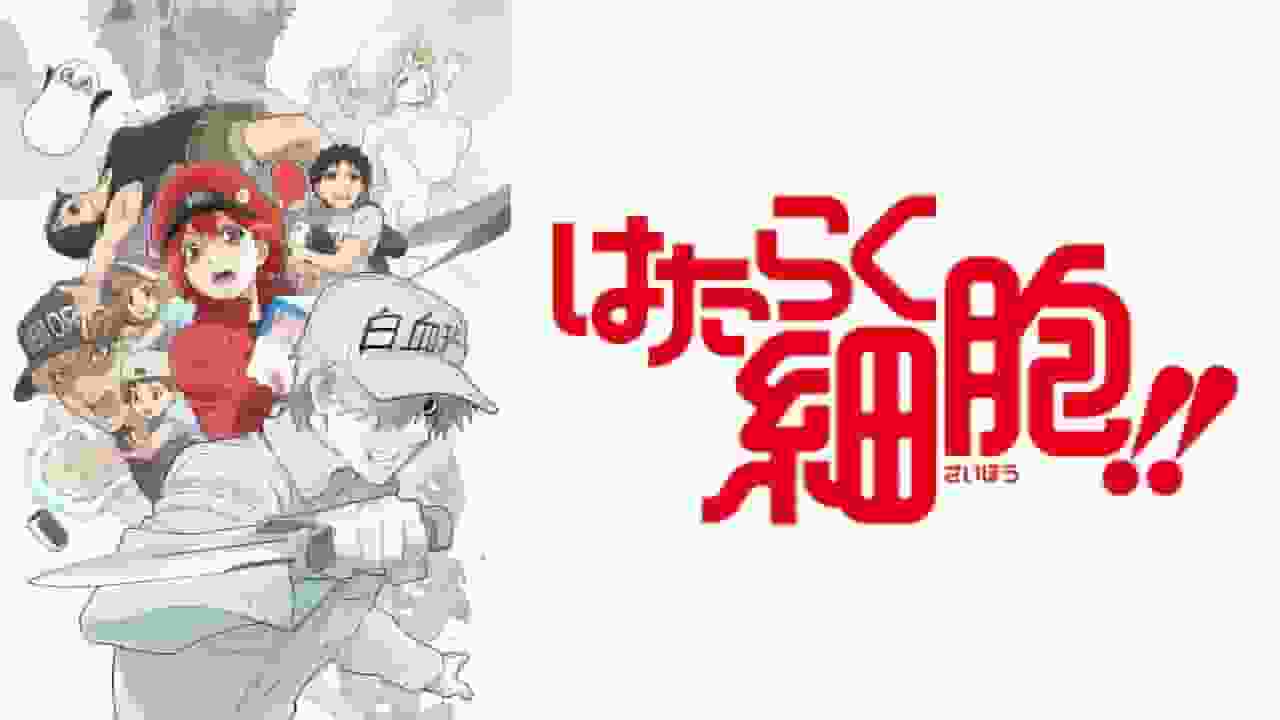 Cells at Work!! Season 2: A new adventure and moving story of cells