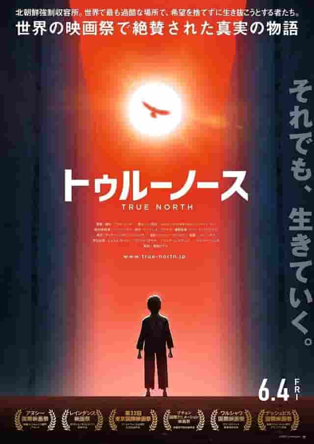 The appeal and reviews of "True North": A moving story and deep characters