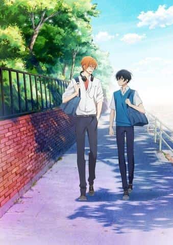 The appeal and reviews of "Sasaki and Miyano": A coming-of-age story that BL fans must see